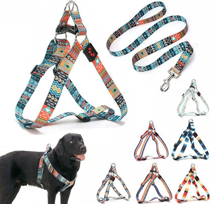 Dog Harness and Leash Set, Pretty Pattern No-Pull Pet Halter Puppy Vest Outdoor Easy Walk for Small Medium Large Breed Pug Bully Mastiff Dogs Female Male, Ethnic Small