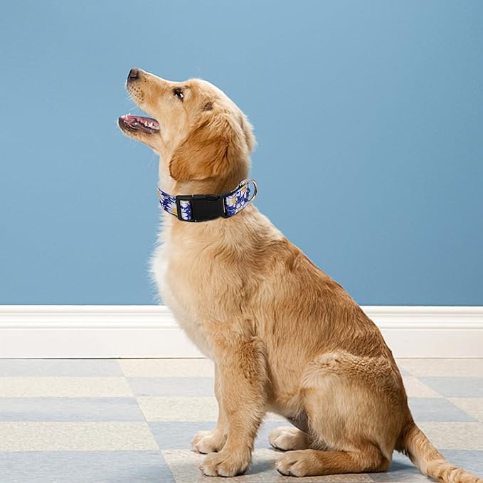 Reflective Dog Collar, Adjustable Soft Neoprene Padded Nylon Pet Collars with Buckle for Puppy and Small Dogs, Cats, Small Daisies Blue,XL