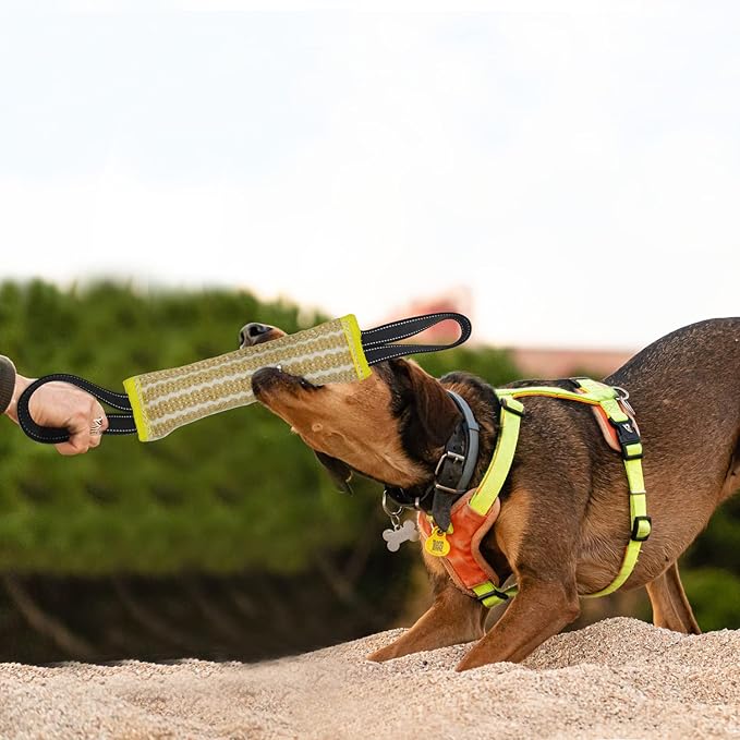 DGSL Dog Bite Training Set - Dog Bite Sleeve, Dog Bite Pillow Tug Toy, Dog Training Stick - Professional Training Equipment for Training, Biting, Interactive, Fetch, K9, Puppy (Vertical Stripe)