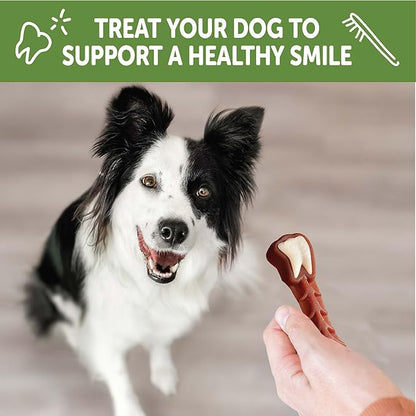 Whimzees Wellness Brushzees Dog Dental Treat, VOHC Accepted Chews, Freshens Breath, Medium Size, 12.7 oz Bag, 12 Count