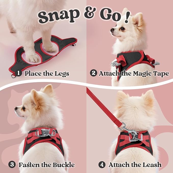 rabbitgoo Dog Harness Small Sized and Leash Set, Step-in Breathable Pet Harness, Soft Walking Reflective Puppy Vest for Small Dogs, Black & Red, M