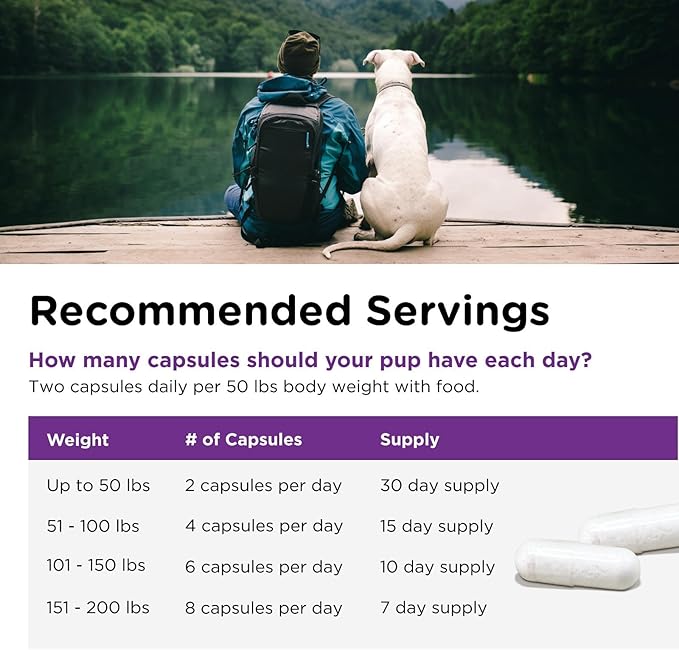 Nutri-Vet Probiotics for Dogs, Dog Probiotics for Digestive Health, Puppy Probiotics, Promotes Healthy Immune System & Gut Health, Vet Formulated, Puppy Supplies, 60 Count Capsules