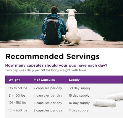 Nutri-Vet Probiotics for Dogs, Dog Probiotics for Digestive Health, Puppy Probiotics, Promotes Healthy Immune System & Gut Health, Vet Formulated, Puppy Supplies, 60 Count Capsules