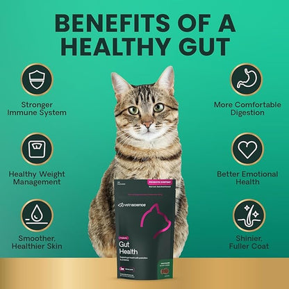 VetriScience Gut Health Chews, Probiotic Everyday Digestive Supplement for Cats, Pet Probiotics for Digestion Support, Gas and Diarrhea, Immune Support, 120 Million CFU Per Chew, Duck, 60 Count