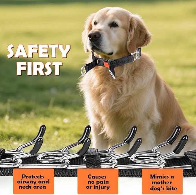 Dog Training Collar, Stainless Steel with Soft Rubber Cap, Adjustable with Quick Release Buckle (L)