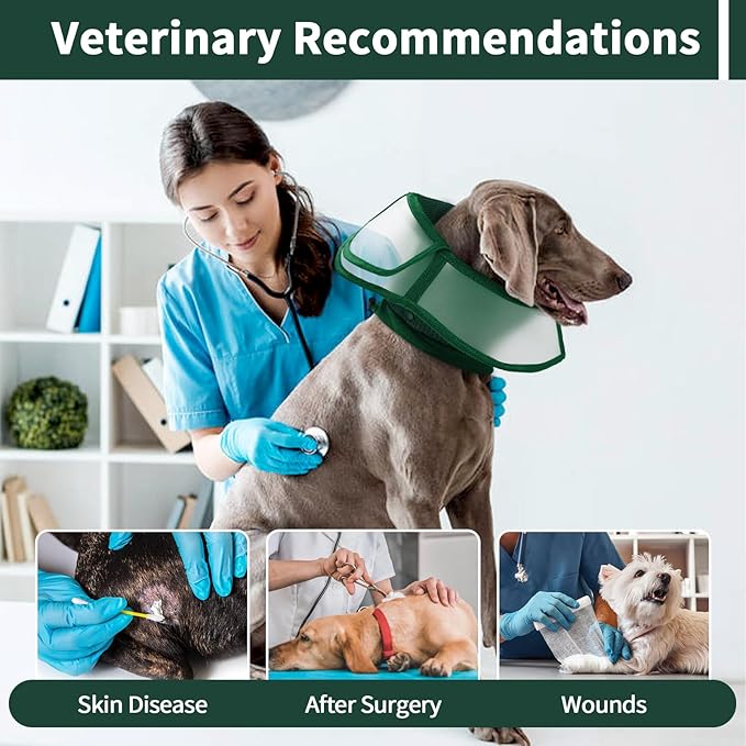 Allroaring Dog Cone Collar After Surgery, Soft Dog Cones for Large Dogs, Breathable Pet Elizabethan Collar Dogs Recovery Cone to Stop Licking Protective Wound Lightweight E-Collar, Green XL