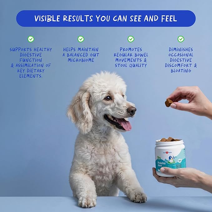 Probiotics for Dogs – Digestive & Diarrhea Support – 90 Soft Chews – Vet Formulated – Gut Health & Immune Support