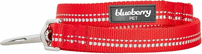 Blueberry Pet 3M Reflective Pastel Color Dog Leash with Soft & Comfortable Handle, 5 ft x 3/4", Red, Medium, Leashes for Dogs