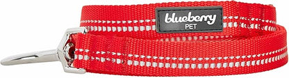 Blueberry Pet 3M Reflective Pastel Color Dog Leash with Soft & Comfortable Handle, 5 ft x 5/8", Red, Small, Leashes for Dogs