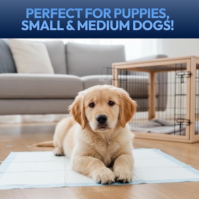 Training Pads for Dogs & Puppies, Super Absorbent, Leak-Proof Protection, Odor-Neutralizing, Disposable Puppy Pads Essentials 22"x22" 150 Count - BROOKLYN PET GEAR
