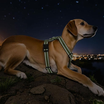 VavoPaw Dog Seat Belt Harness for Car, Dog Car Harness Adjustable Mesh Breathable & Dogs Seatbelt Safety Tether with Elastic Bungee for Small Medium Large Pets(Army Green, M)