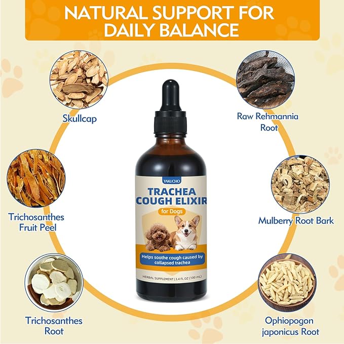 Yakucho Trachea Cough Elixir, 3.4 FL OZ Collapsed Trachea Treatment for Dogs Liquid, Herbal Cough Relief Drops with Skullcap, Helps Calm Dry Cough, Soothe Throat Irritation & Support Easier Breathing