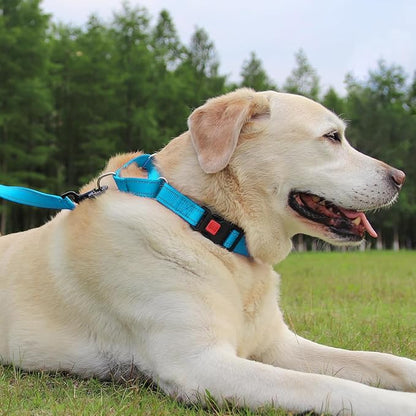 Joytale Martingale Collar for Dogs, Reflective Heavy Duty for Safety, Quick Release Buckle, Adjustable Nylon Collars for Small Dogs Walking Training, Sky Blue,S