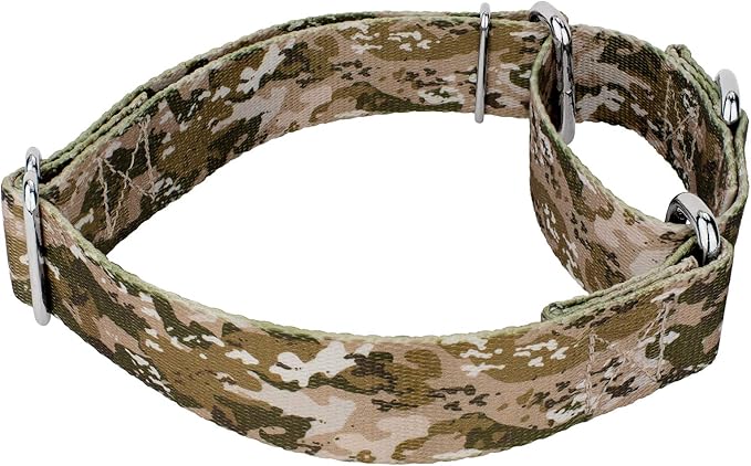 Country Brook Petz - Desert Viper Camo Martingale Dog Collar and Leash - Camouflage Collection Featuring Rugged Designs (1 Inch, Large)