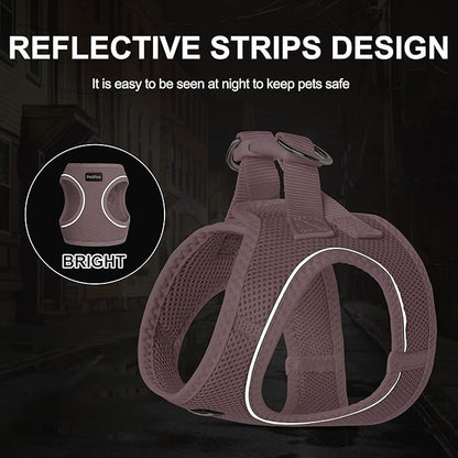 PetiFine Extra Small Step in Dog Harness and Leash Set, Cat Harness and Leash Escape Proof, All Weather Mesh Reflective, Step-in Air Vest Harnesses for Puppy(XXS, Pink)