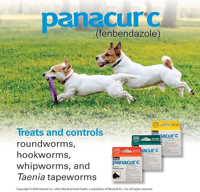 Panacur C Canine Dewormer (fenbendazole), 2 gram,White