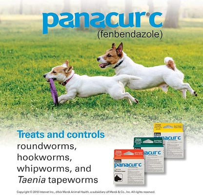 Panacur C Canine Dewormer (fenbendazole), 2 gram,White