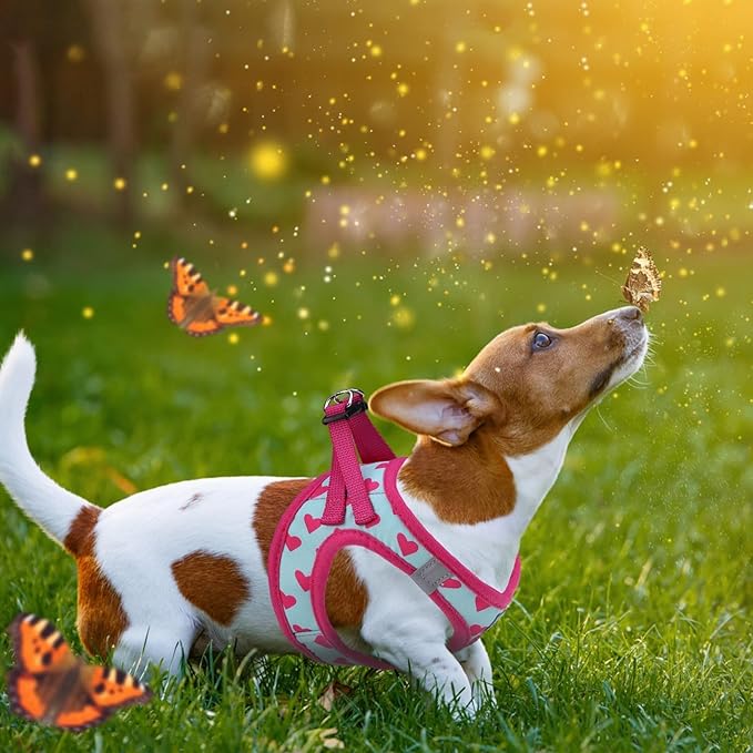 KOOLTAIL Valentines Dog Harness and Leash Set for Small Medium Dogs, Step in No Pull Soft Mesh Dog Harness Padded Pet Vest, Adjustable Reflective Easy Walking Puppy Harnesses Training, Pink Heart XS