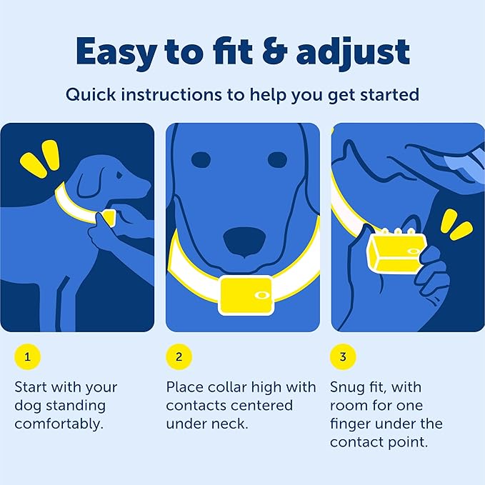 PetSafe 100 Yard Remote Training Collar – Smaller Version for Small or Medium Dogs – Choose from Tone, Vibration, or 15 Levels of Static Stimulation – Short Range Option for Training Off Leash Dogs