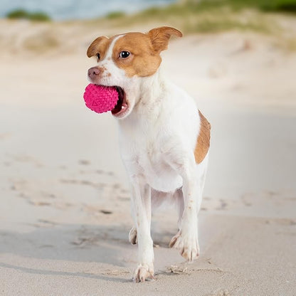 Best Pet Supplies Squeaky Dog Toys with Soft Durable Fabric for Small, Medium and Large Pets Interactive Toy for Indoor Play, Supports Active Biting and Play - Fuchsia, Green (M:2.5")