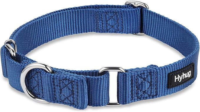 Hyhug Martingale Dog Collar Medium Blue |Escape - Proof Heavy Duty Nylon Durable No Slip, Ideal for Training & Daily Walks
