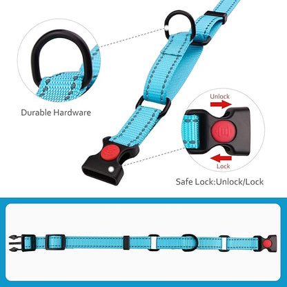 Martingale Dog Collar and Leash Set Martingale Collars for Dogs Reflective Martingale Collar for Small Medium Large Dogs(Sky Blue&M)