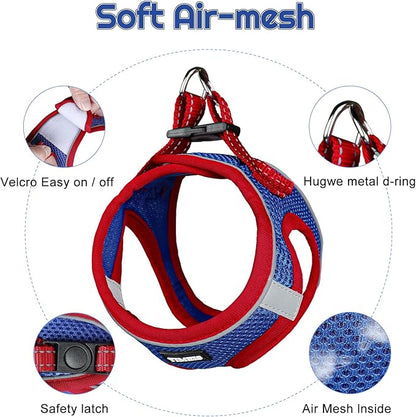 Dog Harness for Small Dogs and Leash Set, Honeycomb Grid, Reflective Lightweight Harness & Anti-Twist Pet Lead Multi Color, Size: XS-S-M. (M, Red & Blue)