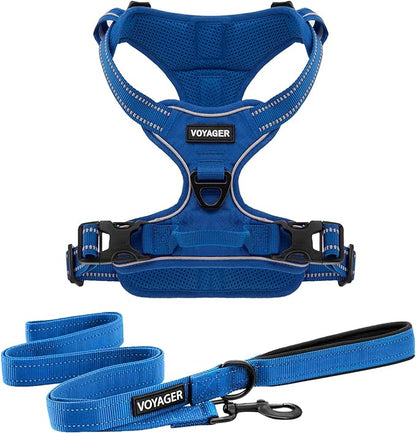 Voyager Dog Harness Dual Leash Attachment No-Pull Control Adjustable Soft but Strong Pet Harness for Medium and Large Dogs with 3M Reflective Technology, Leash Set Royal Nylon, S (Chest: 16-20")