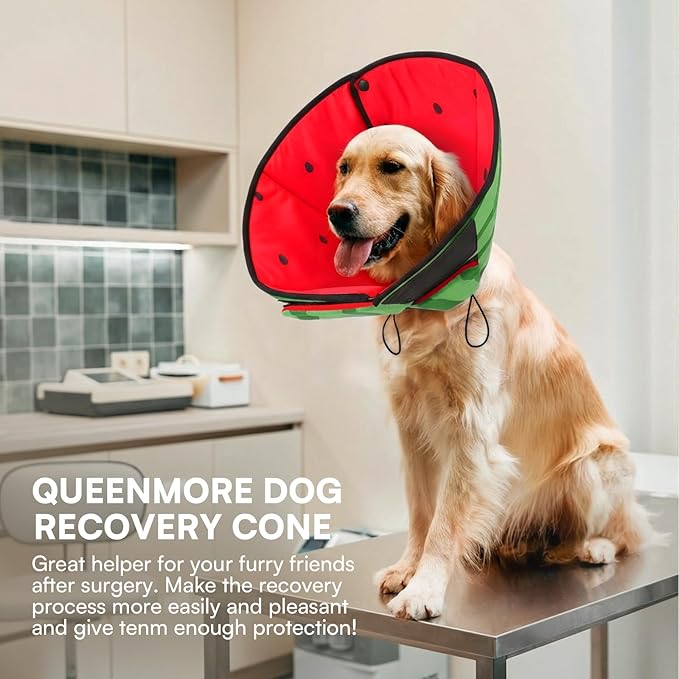 Queenmore Dog Cones for Small Dogs, Dog Cone Collar to Prevent Licking Wounds, Adjustable Comfy Cone for Dogs, Adjustable Elizabethan Collar for Pets, Watermelon S