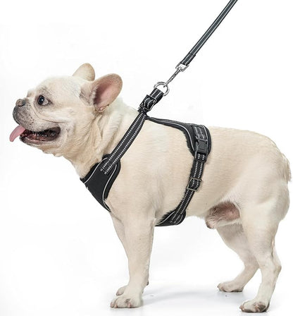 PUPTECK Dog Harness and Leash Set Medium Sized, Adjustable Reflective Escape Proof Puppy Vest, No Pull Walking Harness Easy Control