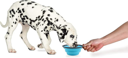 Dexas Popware for Pets Collapsible Travel Cup, Large, Gray/Blue
