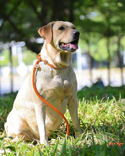 lynxking Dog Leash Slip Lead 5 6 8 FT Dog Training Leash Strong Heavy Duty Braided No Pull Training Lead Leashes for Small Medium Large Dogs