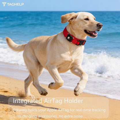 Smart Waterproof AirTag Dog Collar with QR Code ID Tag, Anti-Lost Tactical Dog Collar with Built-in AirTag Holder, Metal Buckle & Control Handle, GPS Tracker Collar for Medium to Large Dogs (Red, L)