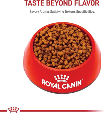 ROYAL CANIN Breed Health Nutrition Chihuahua Puppy Dry Dog Food,2.5 lb Bag,(Pack of 2)