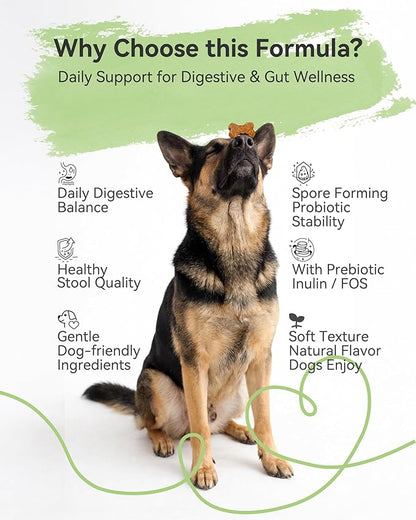 Probiotic Soft Chews for Dogs – Daily Gut & Digestive Support, Spore-Forming Probiotic with Multi-Strain Lactobacillus, Prebiotic Inulin/FOS, Chicken Flavor, 120 Chews