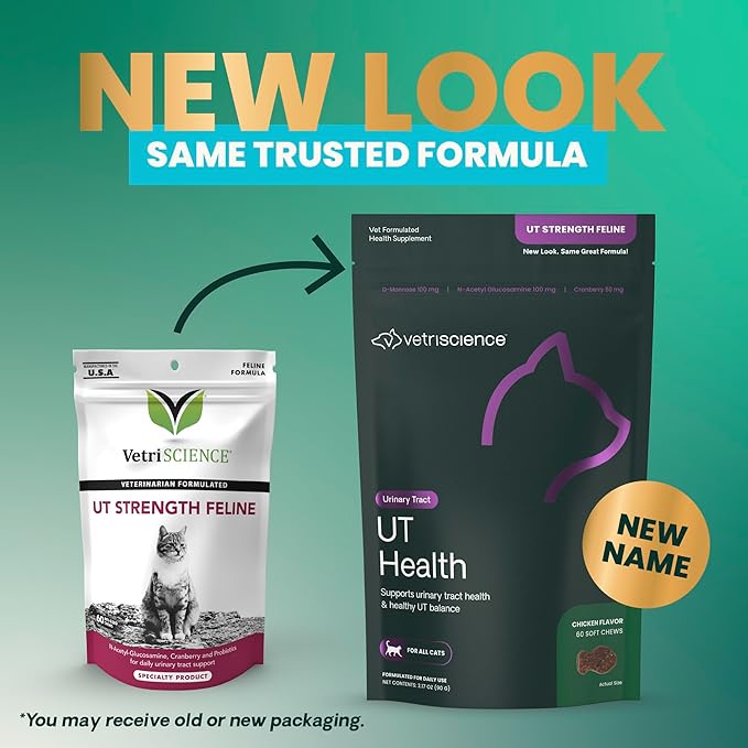 VetriScience UT Health Chews, UT Strength Cranberry and D-Mannose Bladder & Urinary Tract Supplement for Cats, With Bromelain and Probiotics, Chicken, 60 Count