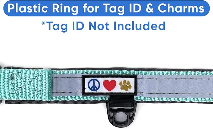 Pawtitas Lumberjack Padded Martingale Collar for Dogs | Soft Neoprene Dog Collar for Your pet's Comfort Made with Reflective Band for Maximum Visibility | Fits Small and Large Pets - Medium Teal