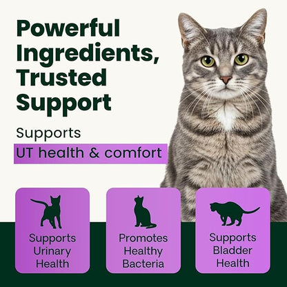 VetriScience UT Health Powder, UT Strength Cranberry D-Mannose Bladder and Urinary Tract Supplement for Cats, Bromelain and Probiotics, Healthy Mineral Balance, Chicken & Cheese, 60 Scoops