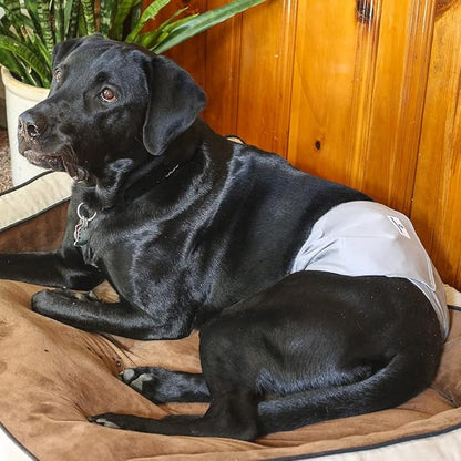 Pet Parents® Washable Belly Bands for Male Dogs (3pack) + Extendrs® of Durable Dog Diapers Male, Premium Male Dog Diapers & Dog Wraps (Medium, Natural)