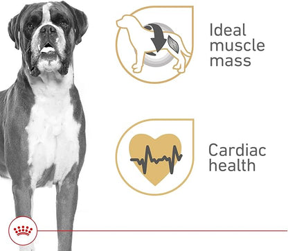 Royal Canin Breed Health Nutrition Boxer Adult Loaf in Sauce Dog Food, 13.5 oz (Pack of 12)