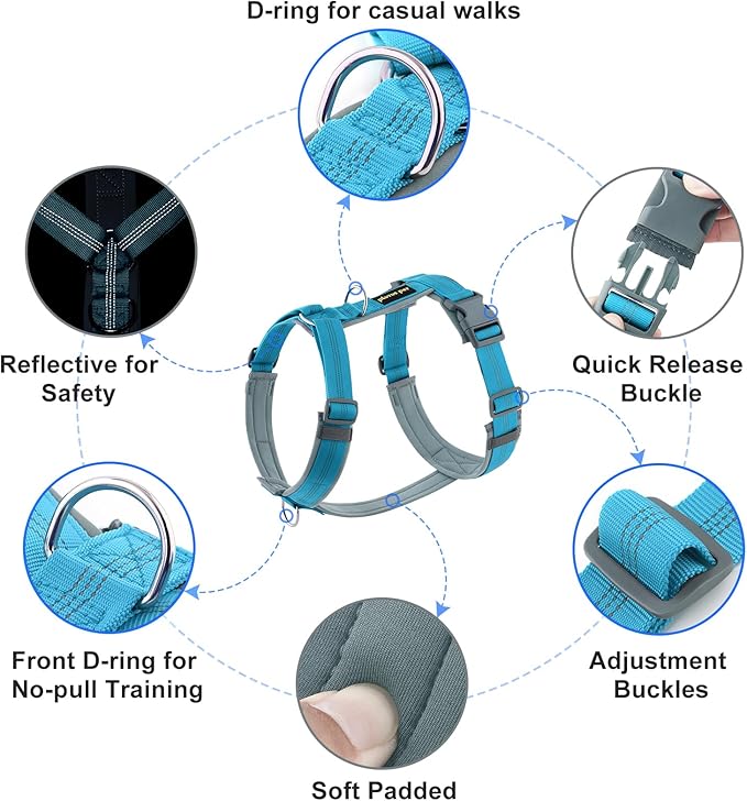 Plutus Pet No Pull Dog Harness, Adjustable Nylon Harness with Soft Padding, Reflective and Heavy Duty Dog Harness for Small, Medium, Large Dogs(Cyan, XS)