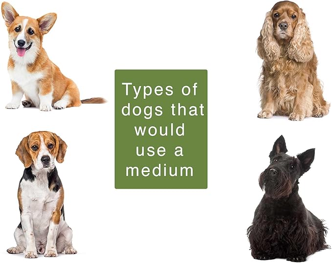 Ranger by Freedom Pet Pass Insulated Dog Door for Doors - M