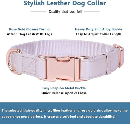 Soft Leather Dog Collar and Leash (6.6') Set - Stylish Rose Gold Heavy Duty Metal Buckle, 4 Adjustable Lengths Leash for Small Medium Large Dogs - Comfortable & Easy to Clean M(13.8"-19.7"), Gold Pink