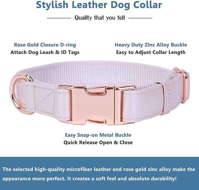 Soft Leather Dog Collar and Leash (6.6') Set - Stylish Rose Gold Heavy Duty Metal Buckle, 4 Adjustable Lengths Leash for Small Medium Large Dogs - Comfortable & Easy to Clean XS(8"-12"), Gold Pink