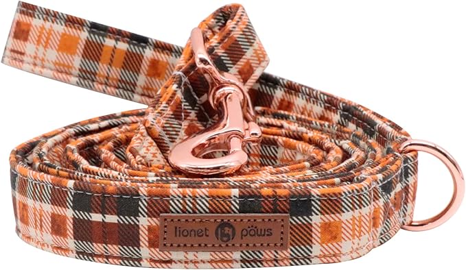Lionet Paws Dog Leash for Small Dogs, Orange, Blue, 4.4ft (135cm), Snap Closure