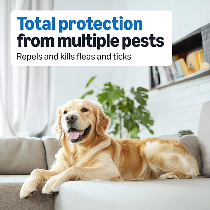 Amazon Basics Preventative Flea and Tick Topical Treatment for Dogs, Medium Dog (23-44 lbs), Fast Acting and Long Lasting, 6 Counts, Packaging May Vary