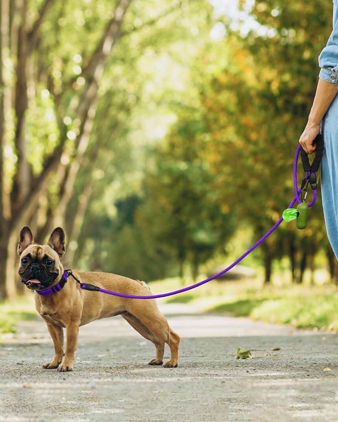 Dynmeow Reflective Dog Collar and Leash Set, 6FT Strong Climbing Rope Leash with Padded Handle, Adjustable Pet Collar with Soft Neoprene Padding for Small Medium Dogs, Purple, S