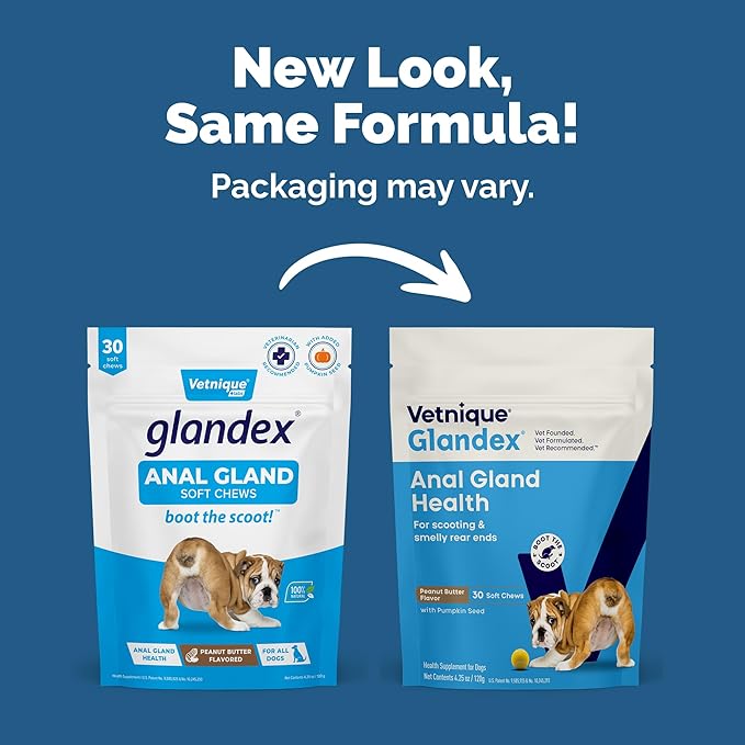 Vetnique Glandex Anal Gland Soft Chew Treats with Pumpkin for Dogs Digestive Enzymes, Probiotics Fiber Supplement for Dogs Boot the Scoot (30ct, Peanut Butter Chews)