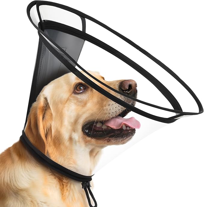 BONTHEE Clear Dog Cone Collar–Extra-Long Recovery E-Collar for Dogs, Transparent Adjustable Dog Cones Alternative for Small Large Medium Size Dogs,Protective Neck Brace with Soft Edges-XL