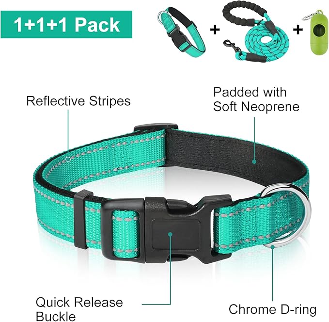 Dynmeow Reflective Dog Collar and Leash Set, 6FT Strong Climbing Rope Leash with Padded Handle, Adjustable Pet Collar with Soft Neoprene Padding for Puppy Small Dogs, Teal, Xs